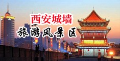 驴屌网中国陕西-西安城墙旅游风景区